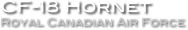CF-18 Hornet
Royal Canadian Air Force
