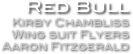 Red Bull
Kirby Chambliss
Wing suit Flyers
Aaron Fitzgerald