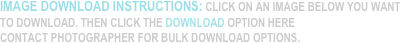 IMAGE DOWNLOAD INSTRUCTIONS: CLICK ON AN IMAGE BELOW YOU WANT TO DOWNLOAD. THEN CLICK THE DOWNLOAD OPTION HERE
CONTACT PHOTOGRAPHER FOR BULK DOWNLOAD OPTIONS.
